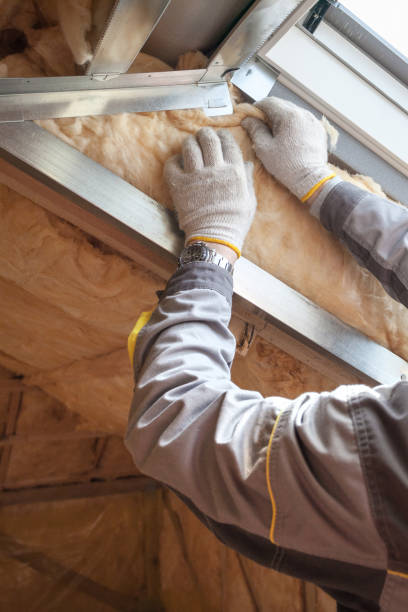 Best Insulation Maintenance and Repair in Red Bank, SC