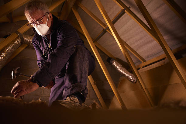 Best Specialty Insulation in Red Bank, SC